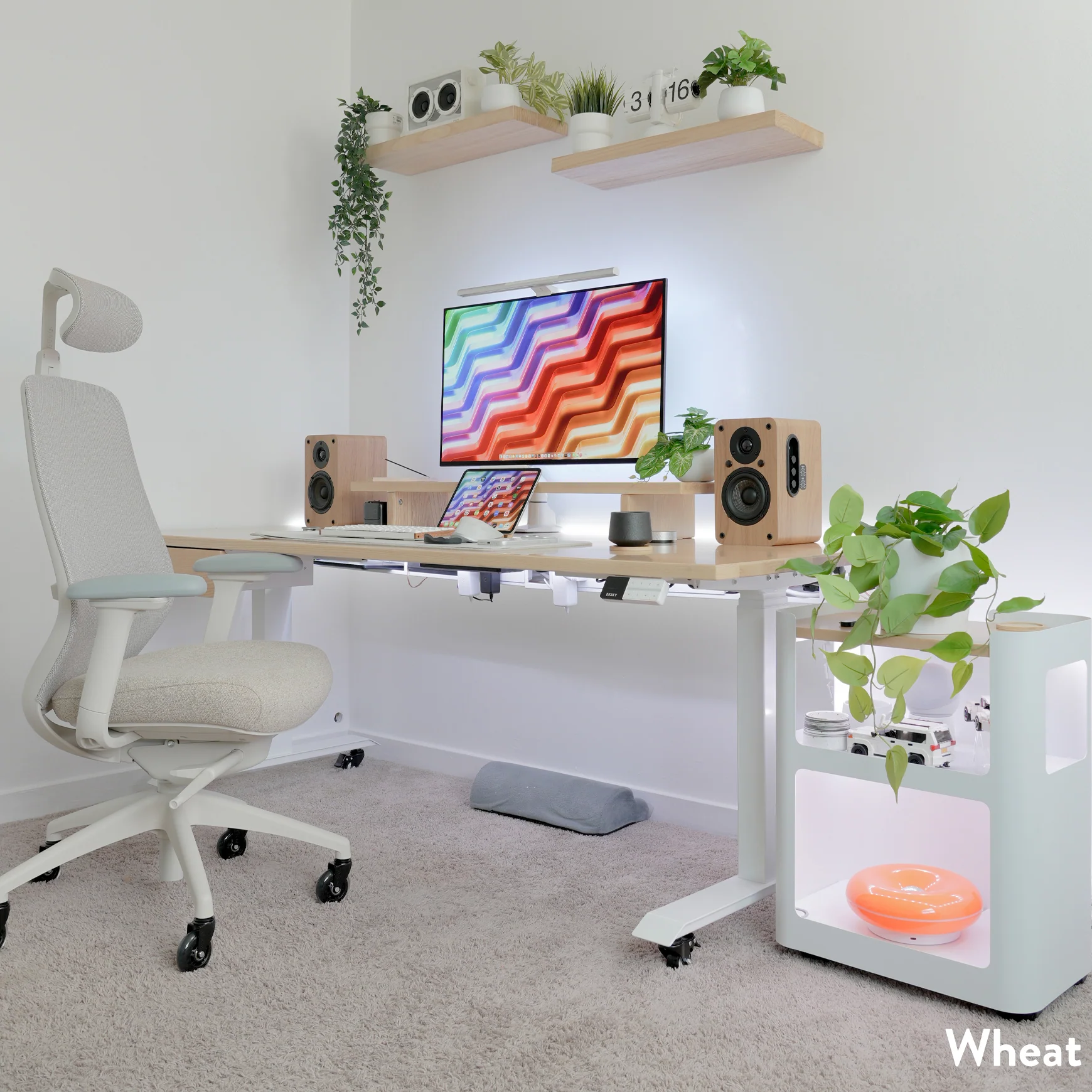 Desky Coilflex Ergonomic Office Chair - Image 11